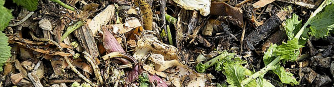 Compost