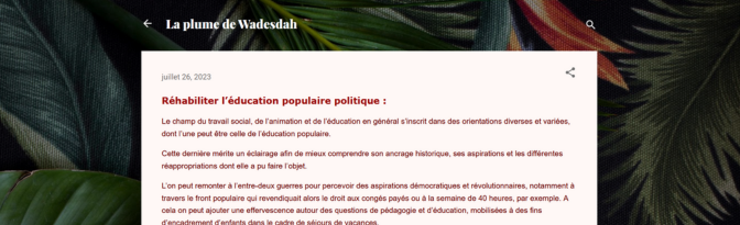 Réhabiliter l’éducation populaire politique